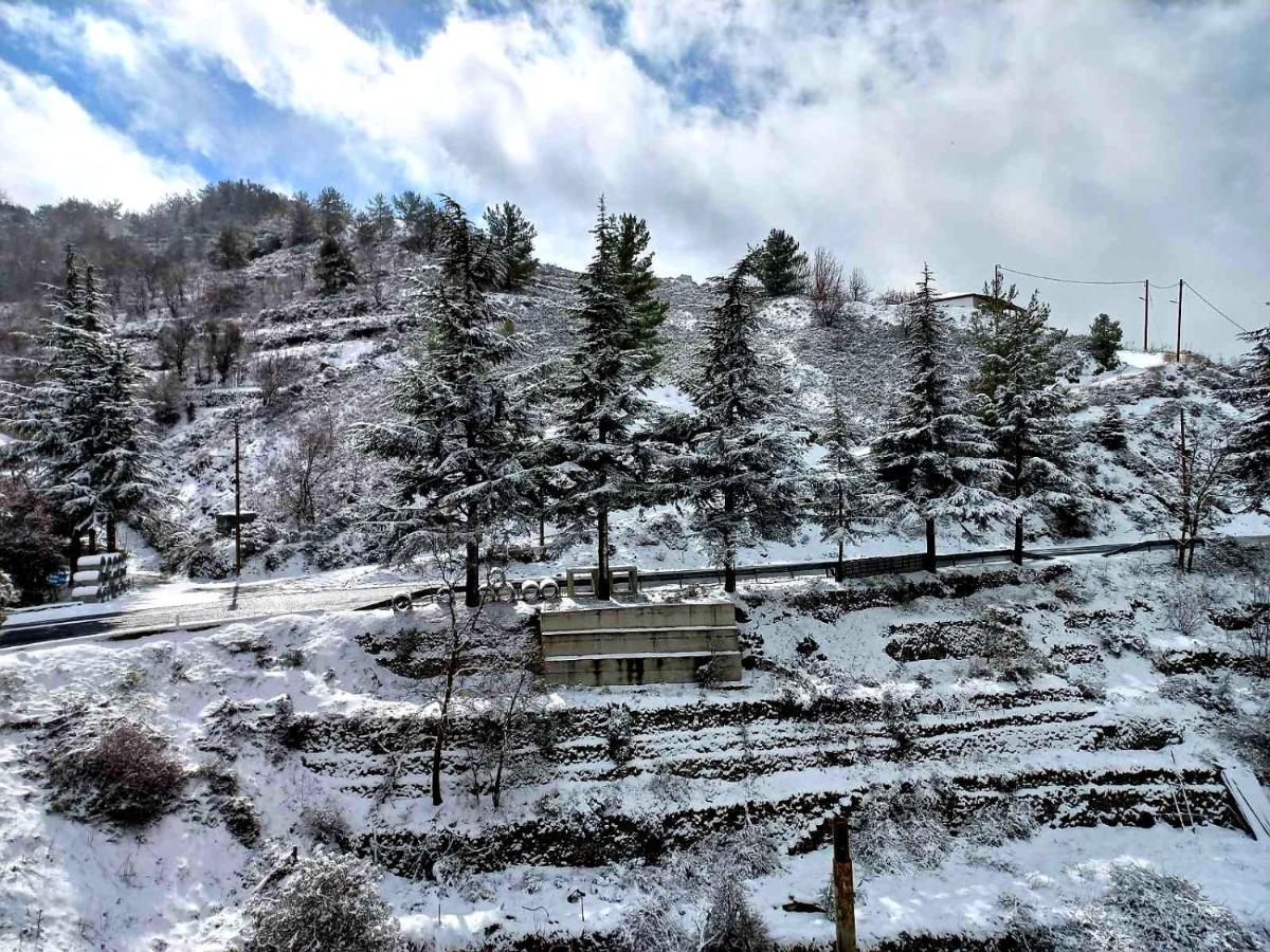 Agros Green Valley Suites ลิมาซอล ภายนอก รูปภาพ