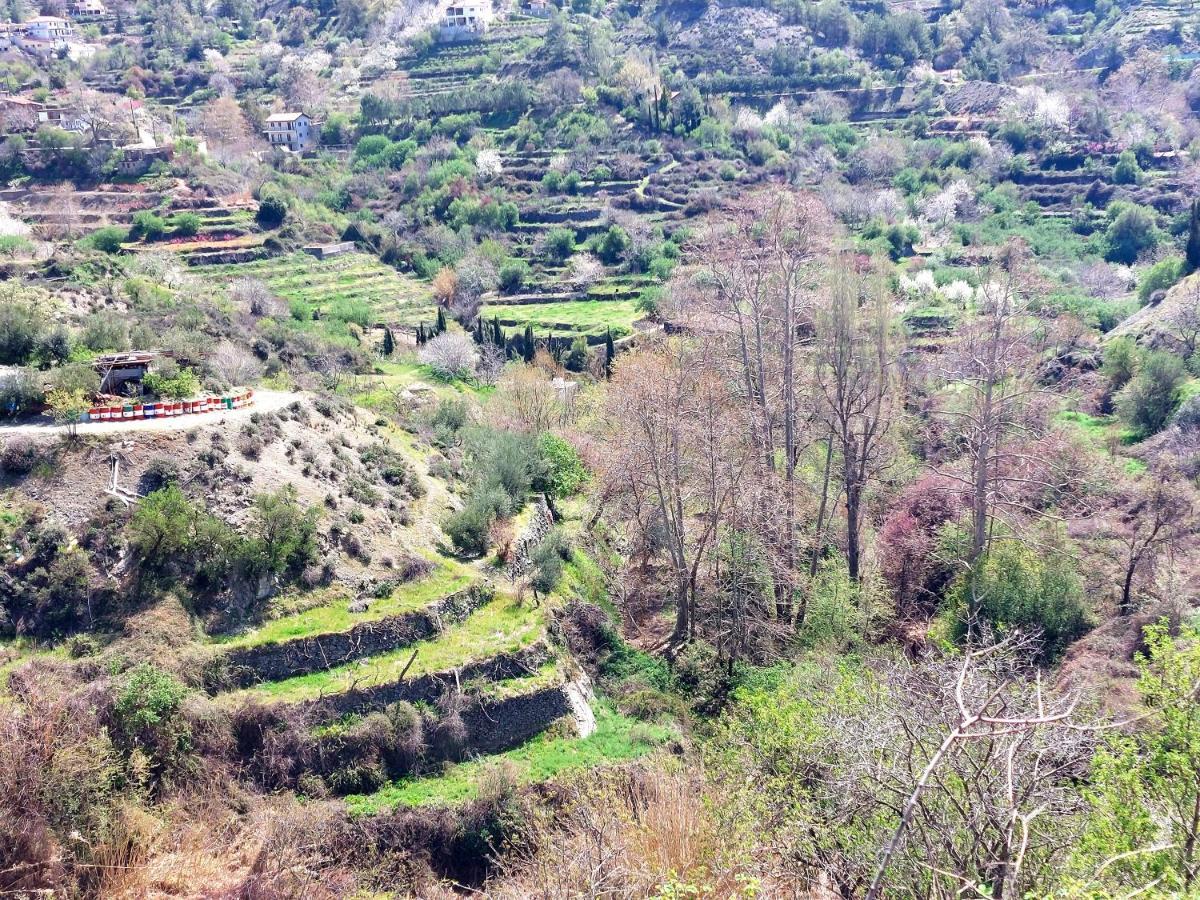 Agros Green Valley Suites ลิมาซอล ภายนอก รูปภาพ